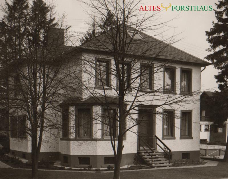 مبيت وإفطار ماندرشايد Altes Forsthaus المظهر الخارجي الصورة